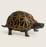 Tortoise sleeve